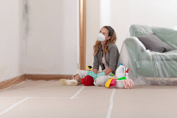 Reliable Black Mold Remediation contractor in Ada, MI by Mold Remediation HQ